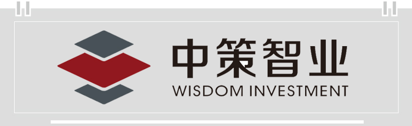 深圳中策智业投资管理有限公司